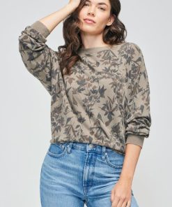 Shipnova.shop19b441df12 1