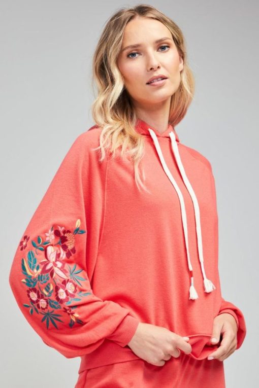 Shipnova.shop7bdd506052 1