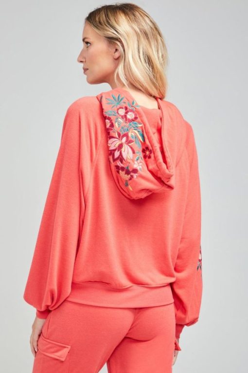 Shipnova.shop7bdd506052 3