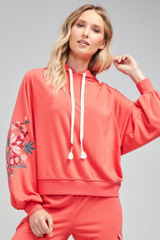 Shipnova.shop7bdd506052 4