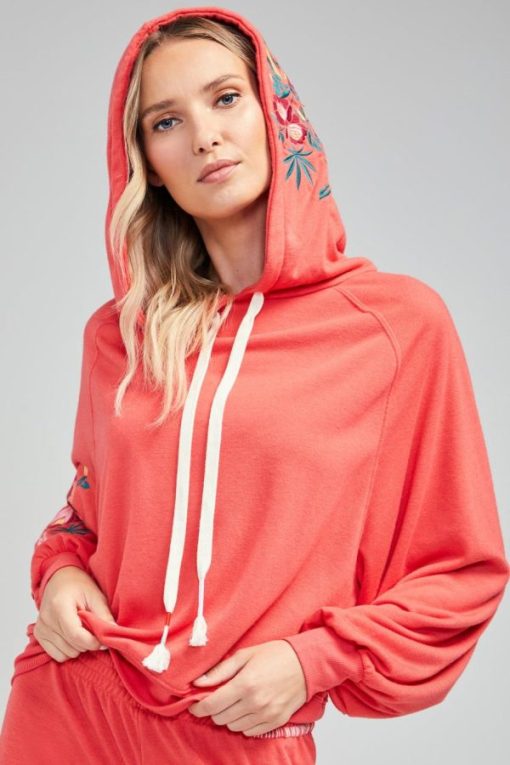 Shipnova.shop7bdd506052 6